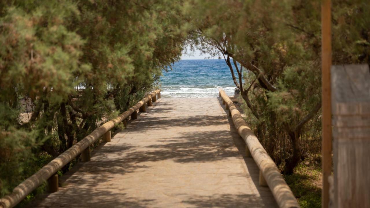 El Medano La Perla C7 Leilighet Eksteriør bilde